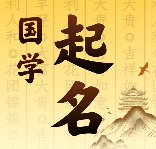 南充国学起名 人工起名一对一